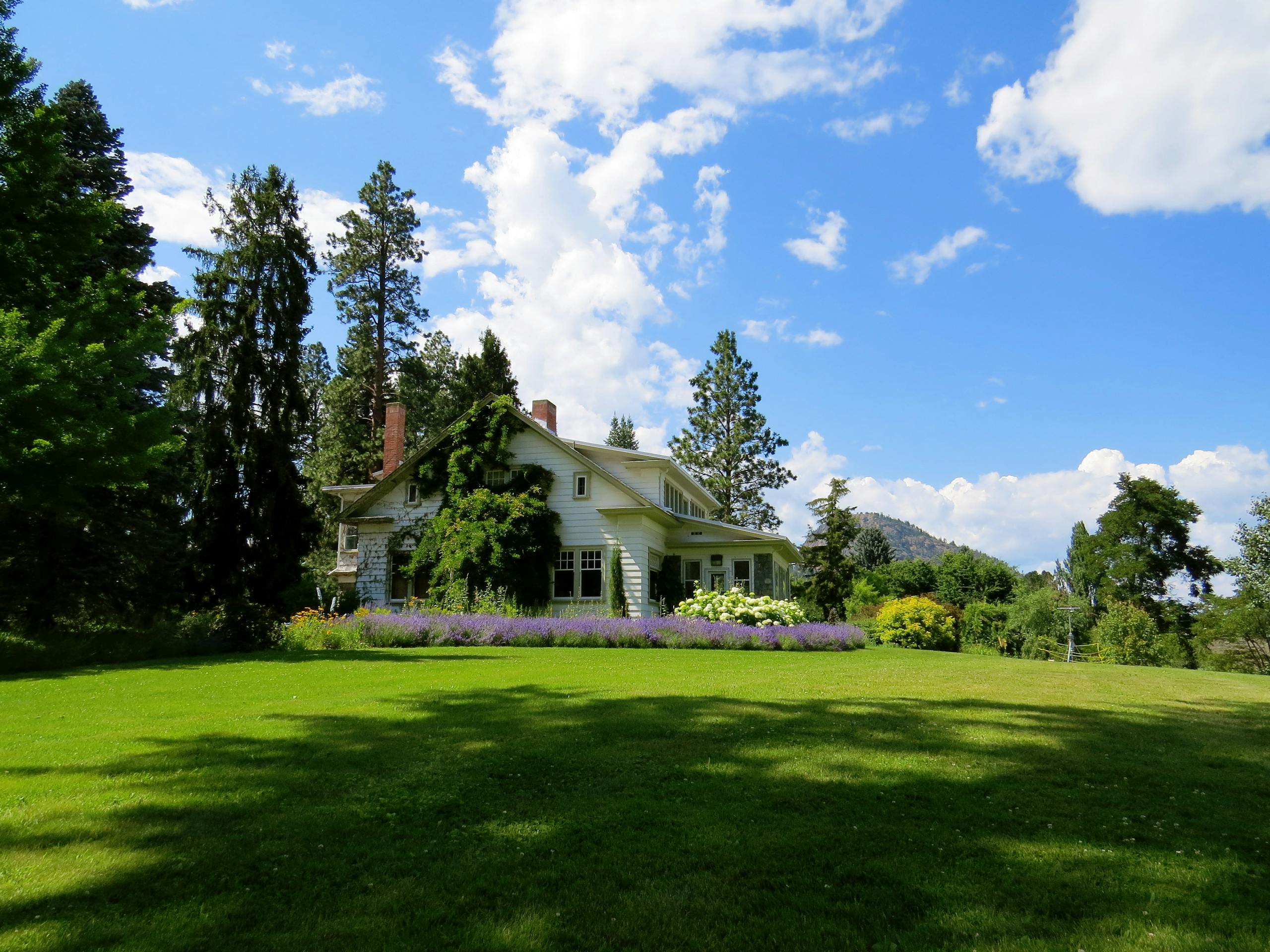 Idyllic countryside house surrounded by lavender and greenery under a bright blue sky.